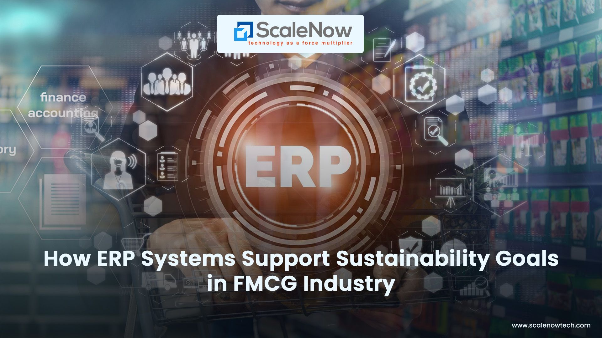 ERP Systems Support